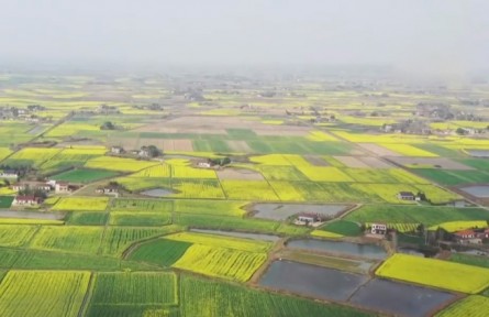 湖北當陽：搶抓農時不負春 蔬菜基地耕種忙