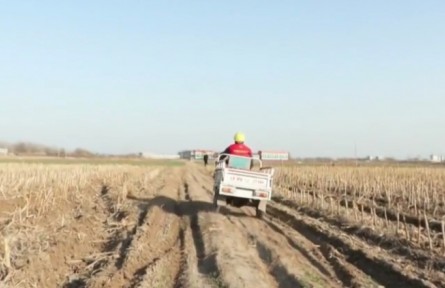 河北：220萬噸農(nóng)資陸續(xù)投放 助力春耕備耕