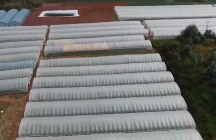 云南各地出實(shí)招保證春耕生產(chǎn)順利開展