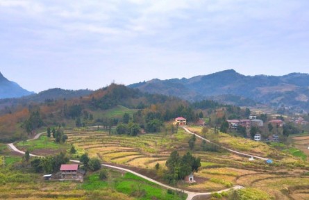 四川達(dá)州：“達(dá)舟”共譜山海情 擦亮東西部協(xié)作品牌?