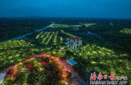 海南海口：科技賦能 助力鄉(xiāng)村振興