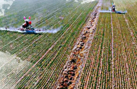 春耕忙起來機(jī)器動起來——今年山東青島計(jì)劃春播面積233.3萬畝