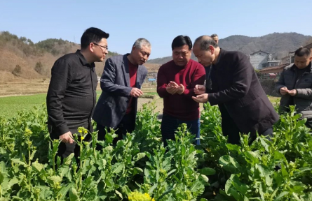 陜西安康：搶抓農(nóng)時保春耕 農(nóng)技指導(dǎo)到田間