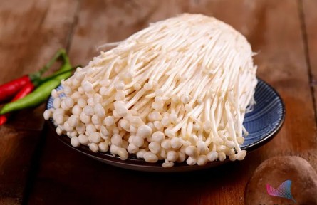 辟謠 | 金針菇為什么叫“明天見”？吃了等于白吃？原來一直誤會它了