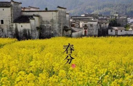春暖花開，今日春分