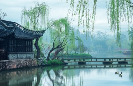 《大美中國·春天系列》春天的江蘇