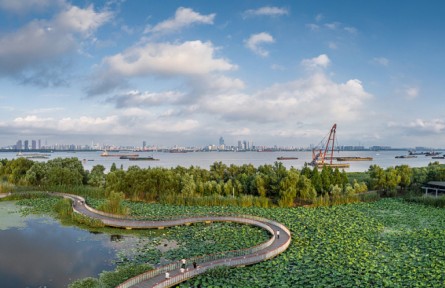 江蘇南京：修復江灘多草木 江豚嬉戲好春光