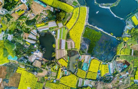 安徽銅陵：碧波微瀾隨日暖 暗香浮動伴春風