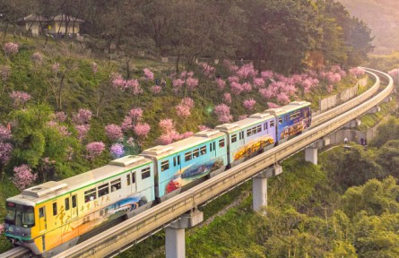 《大美中國·春天系列》春天的重慶