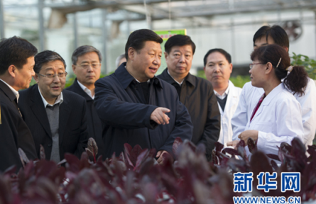 習近平三農(nóng)觀：農(nóng)業(yè)現(xiàn)代化關(guān)鍵在科技進步