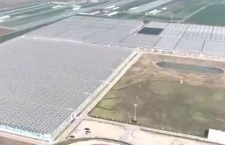 山東：智慧化標(biāo)準(zhǔn)化助推現(xiàn)代農(nóng)業(yè)產(chǎn)業(yè)園崛起