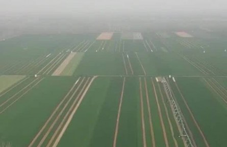 【奮進(jìn)新征程 建功新時(shí)代·偉大變革】夯實(shí)大國糧倉根基