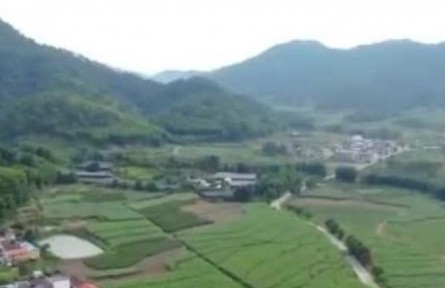 廣東：綠色生態(tài)和人居環(huán)境整治顯成效 打造鄉(xiāng)村振興新陣地