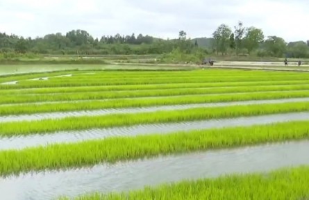 貴州：農(nóng)機(jī)助春耕 農(nóng)戶“慧”種地