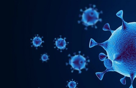 科普 | 破解奧密克戎的四大謎團