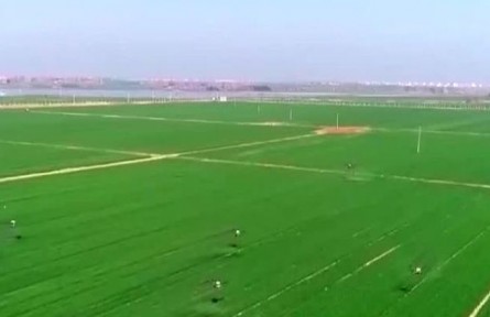 多措并舉 確保春耕農資供應