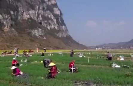 【奮進(jìn)新征程 建功新時(shí)代·偉大變革】民生無小事 枝葉總關(guān)情