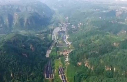 陜西延安：產(chǎn)業(yè)支撐 鄉(xiāng)村振興