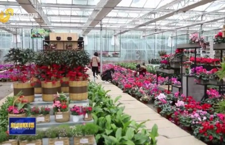 山東：鄉(xiāng)村小手藝 創(chuàng)造大財富