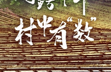 網(wǎng)跨千年，村中有“數(shù)”——“數(shù)字鄉(xiāng)村”賦能西部發(fā)展觀察