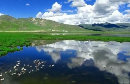 青海：堅(jiān)定不移做“中華水塔”守護(hù)人