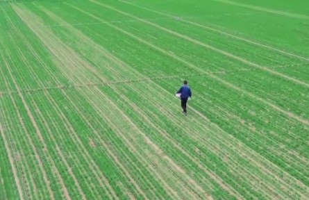 陜西：提升農(nóng)業(yè)技術(shù)含量 帶動糧食增產(chǎn)增收