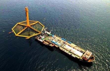 “藏糧于?！钡墓适?></a></td>
<td align=