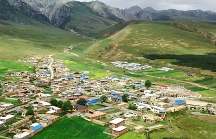 【奮進(jìn)新征程 建功新時(shí)代】青海：政策性農(nóng)業(yè)保險(xiǎn)“護(hù)航”鄉(xiāng)村振興