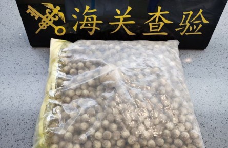 海關(guān)科普：從國(guó)外引進(jìn)植物種子的檢疫流程