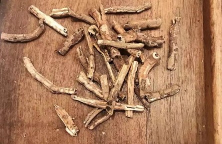 健康問答 | 怎樣煎中藥、喝中藥才能獲得好藥效？