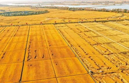 《求是》雜志編輯部：做好新發(fā)展階段“三農”工作的行動綱領