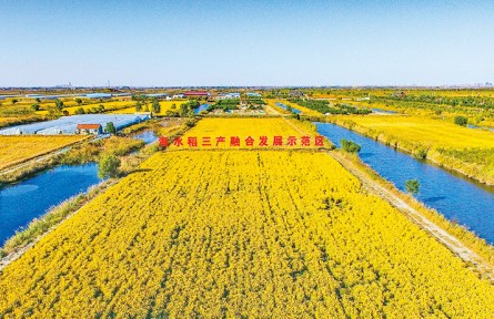 山東：奮力開創(chuàng)新發(fā)展階段“三農(nóng)”工作新局面