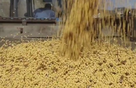 黑龍江：一年好景看春耕 大豆擴(kuò)種迎先機(jī)