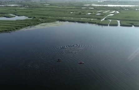 河北：雄安新區(qū)設(shè)立五周年 白洋淀水質(zhì)改善 步入國家良好湖泊行列