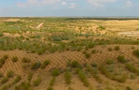 我國(guó)防沙治沙取得成效 沙塵天氣減少減弱