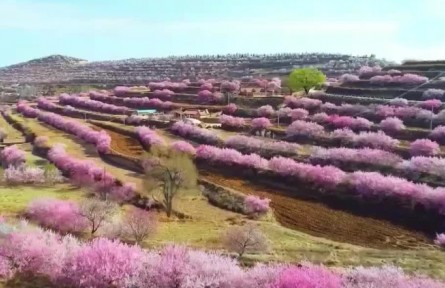 大美中國(guó)（2022年4月2日）