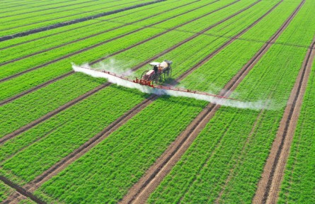 振興路上：種糧大戶春耕忙