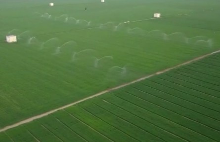 搶農(nóng)時 提品質(zhì) 春管春播有力推進(jìn)