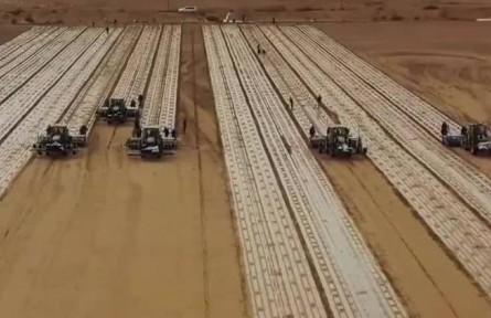 新疆：棉花開(kāi)播 “干播濕出”技術(shù)節(jié)水增產(chǎn)