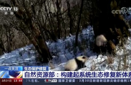 自然資源部：構(gòu)建起系統(tǒng)生態(tài)修復(fù)新體系