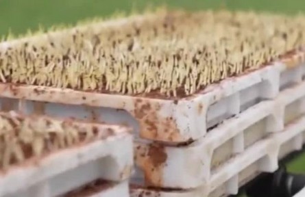 江西：近百萬(wàn)畝水稻春耕生產(chǎn)全程機(jī)械化