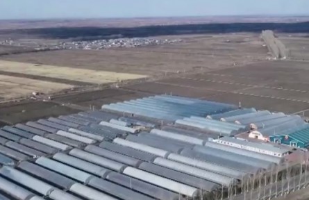 黑龍江：水稻種植正在進(jìn)行浸種催芽工作