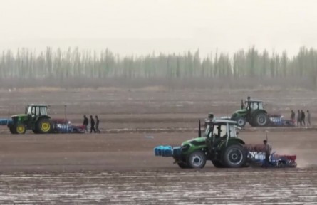 新疆：棉花播種由南向北陸續(xù)展開