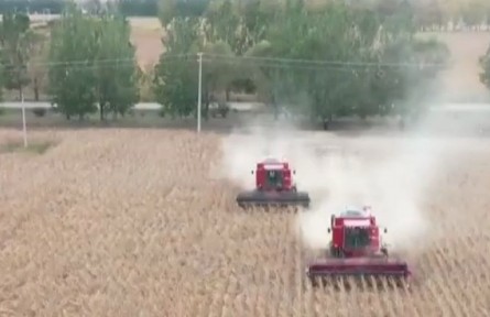 黑龍江：吃上“營(yíng)養(yǎng)餐” 育肥黑土地