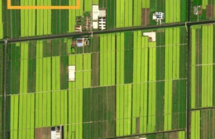 春的浪漫，“太空攝影師”帶你感受“詩(shī)和遠(yuǎn)方”