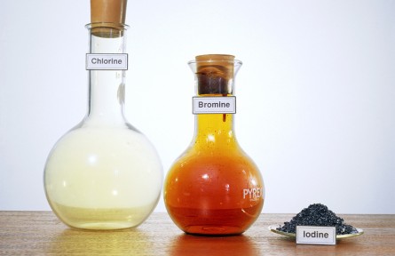 科技名詞 | 鹵素  halogen