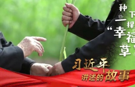 習近平講述的故事：種下一棵“幸福草”