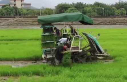 農(nóng)業(yè)農(nóng)村部：全國春管春播順利推進