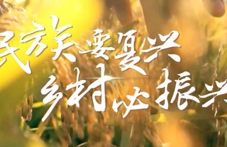 民族要復(fù)興 鄉(xiāng)村必振興