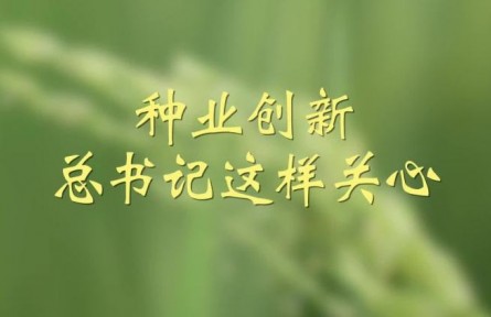 種業(yè)創(chuàng)新，總書記這樣關(guān)心